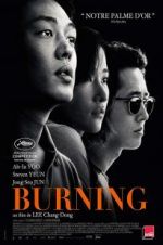 Watch Burning Watch123movies