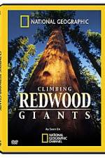 Watch National Geographic Explorer: Climbing Redwood Giants Watch123movies
