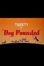 Watch Dog Pounded (Short 1954) Watch123movies
