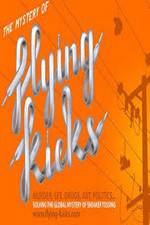 Watch The Mystery of Flying Kicks Watch123movies