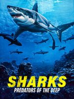 Watch Sharks: Predators of the Deep Watch123movies