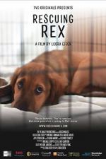 Watch Rescuing Rex Watch123movies
