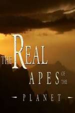 Watch The Real Apes of the Planet Watch123movies