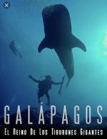 Watch Galapagos: Realm of Giant Sharks Watch123movies