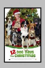 Watch 12 Dog Days of Christmas Watch123movies