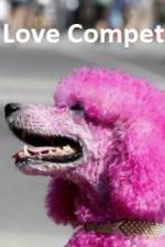 Watch The Love Competition Watch123movies