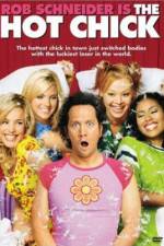 Watch The Hot Chick Watch123movies