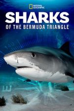 Watch Sharks of the Bermuda Triangle (TV Special 2020) Watch123movies
