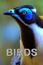 Watch Birds (Short 2021) Watch123movies