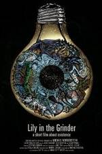 Watch Lily in the Grinder Watch123movies