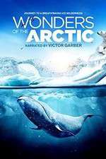 Watch Wonders of the Arctic 3D Watch123movies