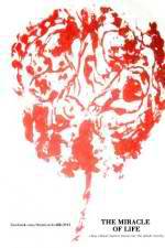 Watch The Miracle of Life Watch123movies