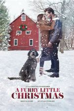 Watch Furry Little Christmas Watch123movies