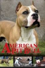 Watch American Pit Bull Watch123movies