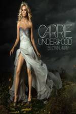 Watch Carrie Underwood: The Blown Away Tour Live Watch123movies