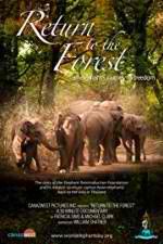 Watch Return to the Forest Watch123movies