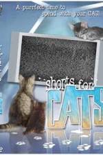 Watch Shorts for Cats Watch123movies