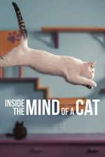 Watch Inside the Mind of a Cat Watch123movies