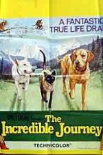 Watch The Incredible Journey Watch123movies