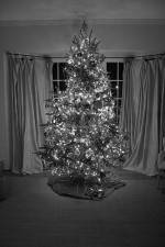 Watch The Christmas Miracle Watch123movies