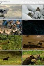 Watch National Geographic: Japans Hidden Secrets Watch123movies