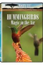 Watch Hummingbirds Magic in the Air Watch123movies