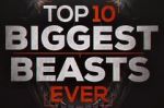 Watch Top 10 Biggest Beasts Ever Watch123movies