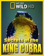 Watch Secrets of the King Cobra Watch123movies