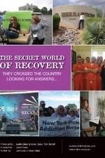 Watch The Secret World of Recovery Watch123movies