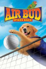 Watch Air Bud: Spikes Back Watch123movies