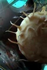 Watch Our Secret Universe: The Hidden Life of the Cell Watch123movies