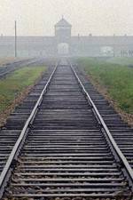 Watch AUSCHWITZ: FACTORIES OF DEATH Watch123movies