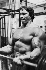 Watch The Comeback Watch123movies