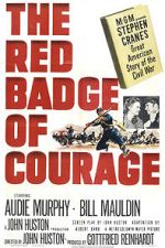 Watch The Red Badge of Courage Watch123movies