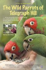 Watch The Wild Parrots of Telegraph Hill Watch123movies