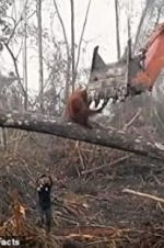 Watch Climate Change: The Facts Watch123movies