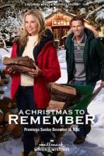 Watch A Christmas to Remember Watch123movies