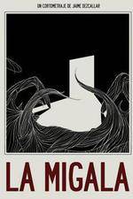 Watch The Bird Spider Watch123movies