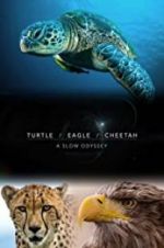 Watch Turtle, Eagle, Cheetah: A Slow Odyssey Watch123movies