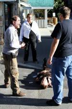 Watch Dead Stop Watch123movies