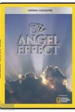 Watch National Geographic Explorer - The Angel Effect Watch123movies