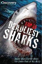 Watch National Geographic Worlds Deadliest Sharks Watch123movies