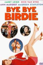 Watch Bye Bye Birdie Watch123movies
