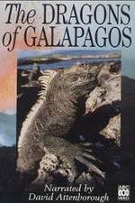 Watch The Dragons of Galapagos Watch123movies