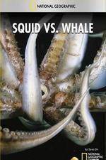 Watch National Geographic Wild - Squid Vs Whale Watch123movies