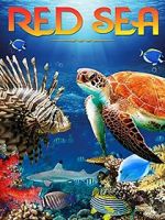 Watch Red Sea 4K Watch123movies