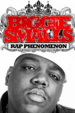 Watch Biggie Smalls Rap Phenomenon Watch123movies
