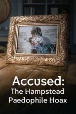 Watch Accused: The Hampstead Paedophile Hoax Watch123movies