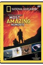 Watch National Geographic's Most Amazing Moments Watch123movies