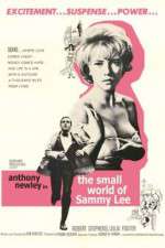 Watch The Small World of Sammy Lee Watch123movies